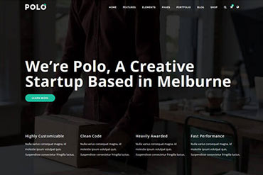 Polo Startup