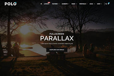 Polo Parallax Dark